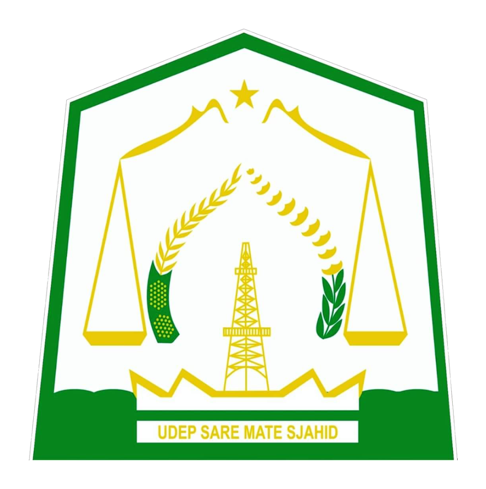 logo_aceh_timur_11.png